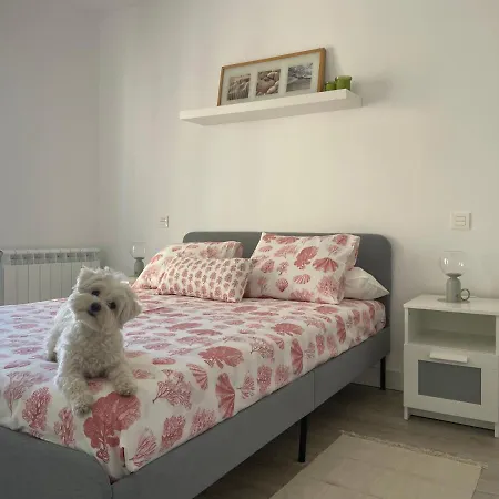Appartamento Plata 2 Zamora Esterno foto